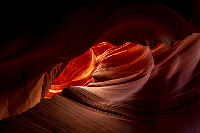 Antelope Shadow